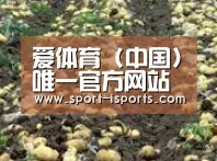 种植基地七