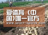 种植基地八