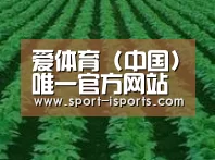 种植基地六