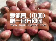 产品展示标题5(图1)